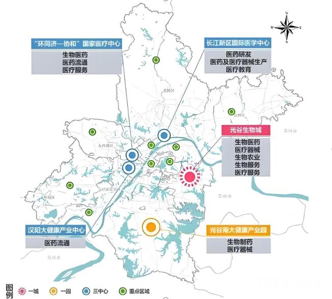 全球前沿技术云集 武汉大健康产业缘何拥有超强吸引力 全球前沿技术云集 武汉大健康产业缘何拥有超强吸引力