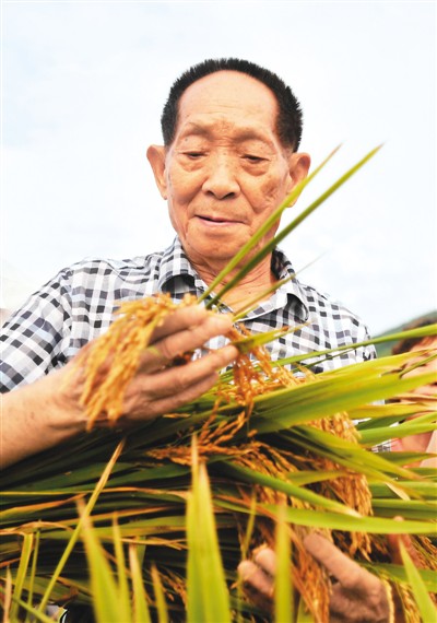 “杂交水稻之父”袁隆平院士：一稻济世 万家粮足