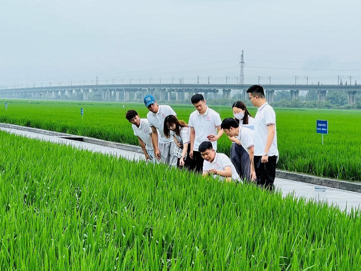 西南民大研究生宣讲团开展社会实践活动