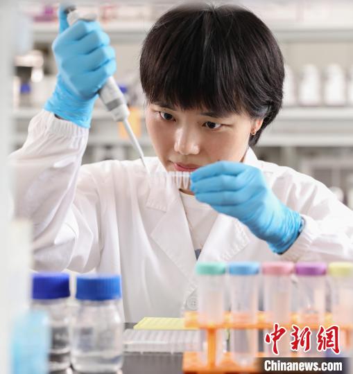 青年科学家竺淑佳：祖国很大，需要我们的建设