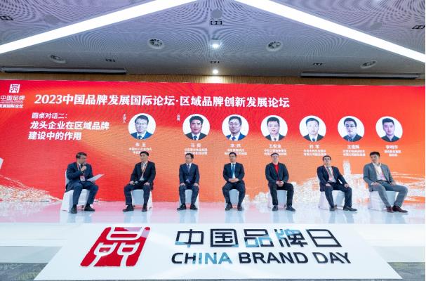 海信李炜：打造区域品牌需“头雁领航”更要“群雁齐飞”