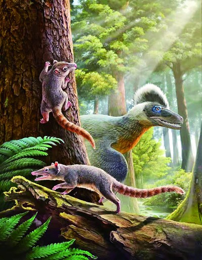 填补中耳演化研究空白 我国古生物学家发现“梦幻小兽”