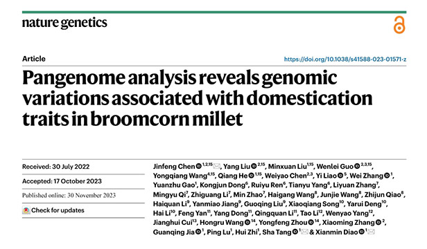 首个黍稷高质量泛基因组来了！里面还藏着这个“秘密”