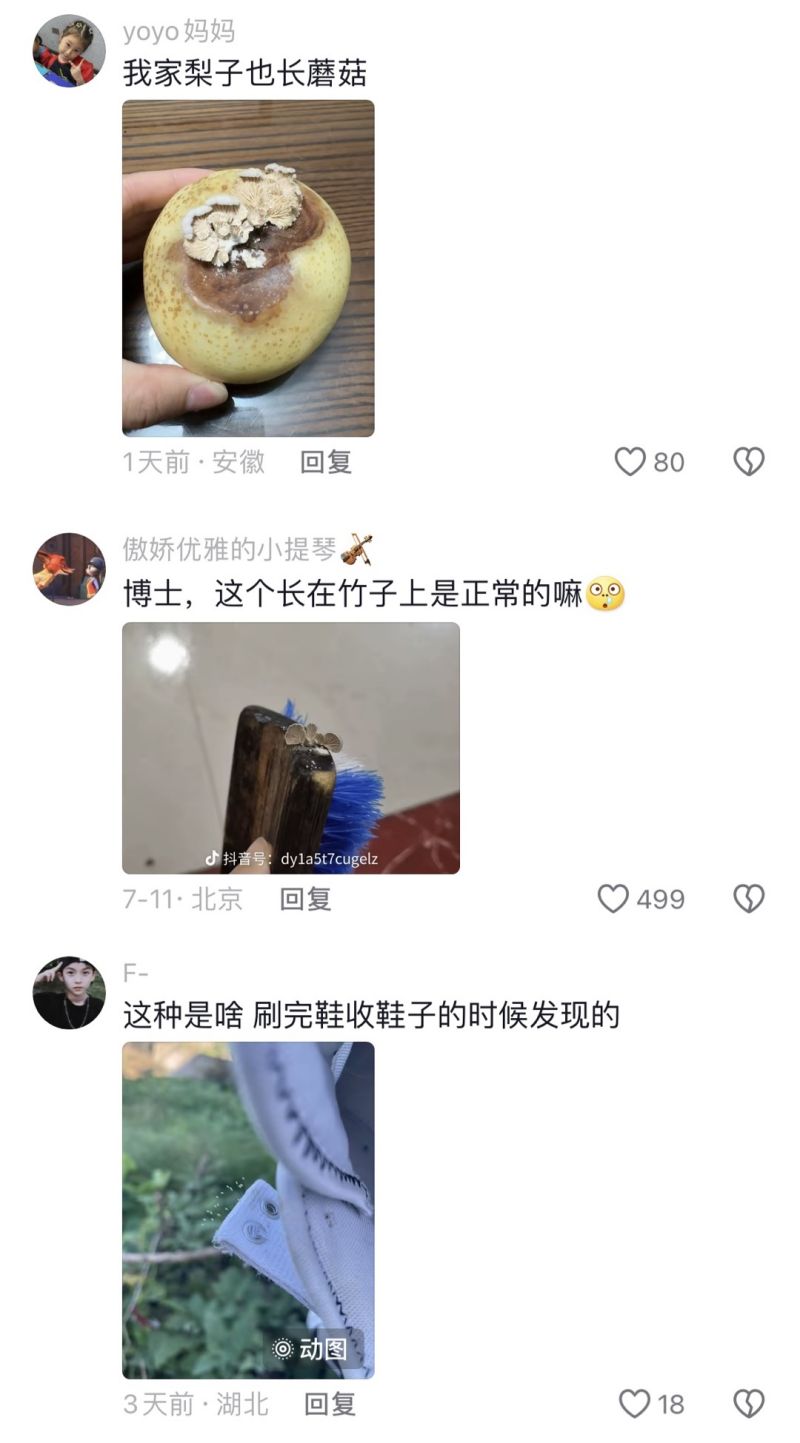 一颗长蘑菇的苹果，何以引发一场科普“追更潮”？