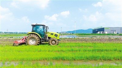 智慧“芜湖大米”这样种成