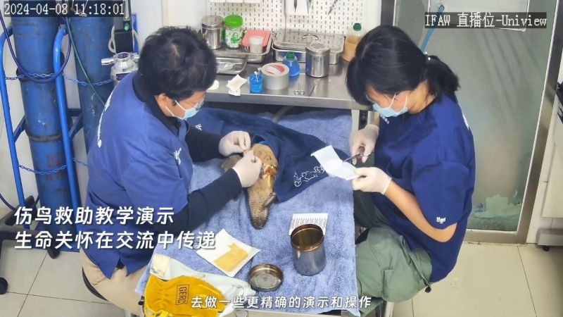 宇视科技对话全国600+教育工作者，用科技践行“文明其精神、野蛮其体魄”