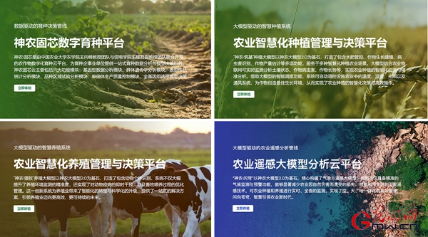 【思政开放麦·时事热点微评】神农大模型：向新提质 强农报国