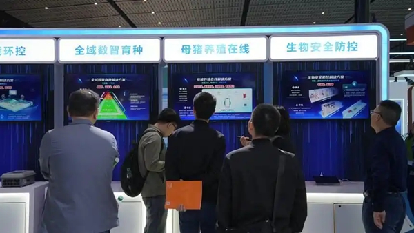 敲敲电脑,“猪事”搞定! 敲敲电脑,“猪事”搞定!