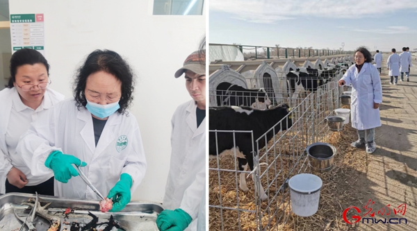 【思政开放麦·时事热点评论】建设美丽新疆,强农报国显担当 【思政开放麦·时事热点评论】建设美丽新疆,强农报国显担当