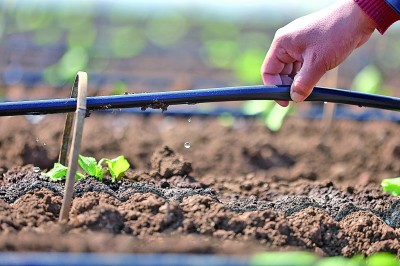 “智慧”春耕,有啥不一样