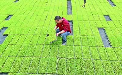 “智慧”春耕,有啥不一样