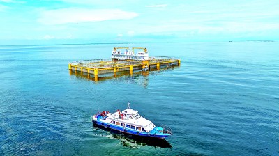 耕海牧渔，打造“蓝色粮仓”——广东湛江大力发展现代海洋牧场的实践探索
