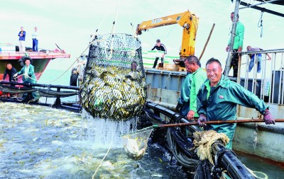 耕海牧渔，打造“蓝色粮仓”——广东湛江大力发展现代海洋牧场的实践探索