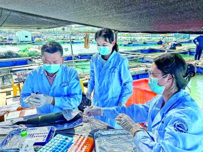 耕海牧渔，打造“蓝色粮仓”——广东湛江大力发展现代海洋牧场的实践探索