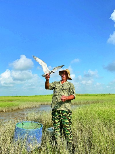 候鸟保护：照亮“天空精灵”迁徙路