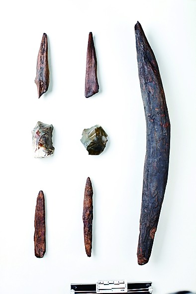 云南发现30万年前的木器