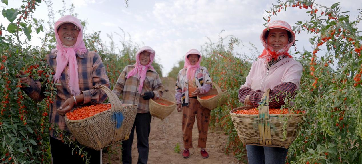 养鲜科技助“石头缝里的鲜甜”走得更远