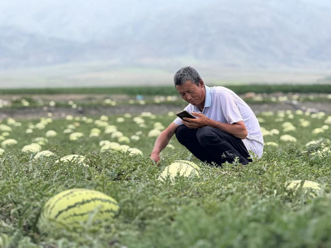 养鲜科技助“石头缝里的鲜甜”走得更远