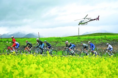 用好健康数据 乐享健康生活