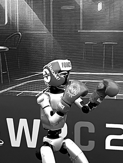 “用得好”的机器人离我们有多远？