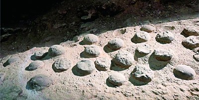 8600万年前!最大恐龙蛋化石群年代谜题被破解