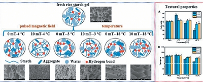 脉冲磁场技术求解米制品保鲜难