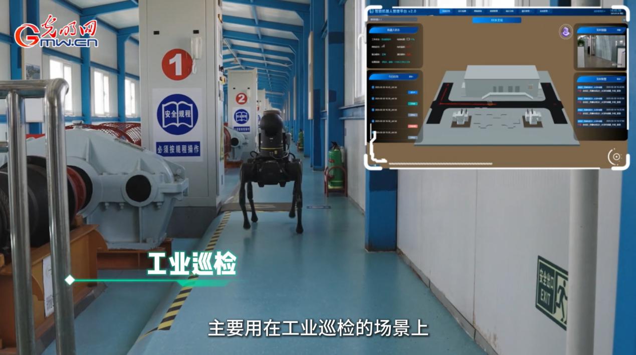 行行出状元|电子电路设计师杨宝珠:做数字世界的“隐形建筑师” 行行出状元|电子电路设计师杨宝珠:做数字世界的“隐形建筑师”