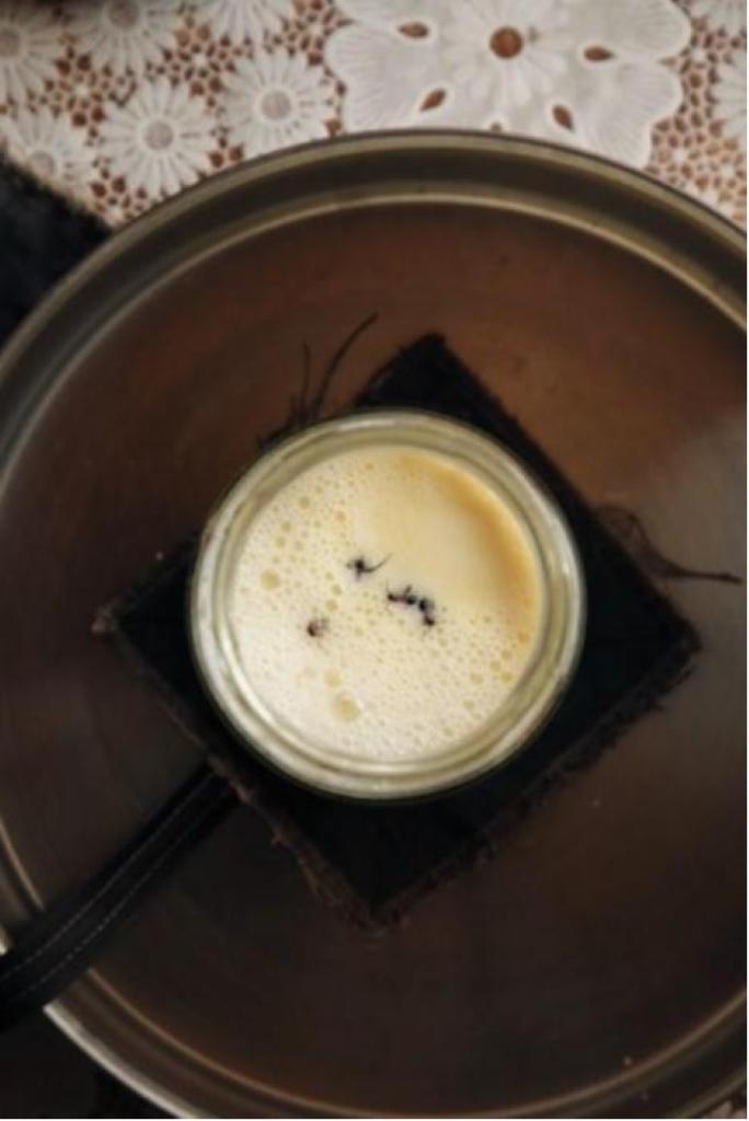蚂蚁酸奶,一道复古的“黑暗料理”