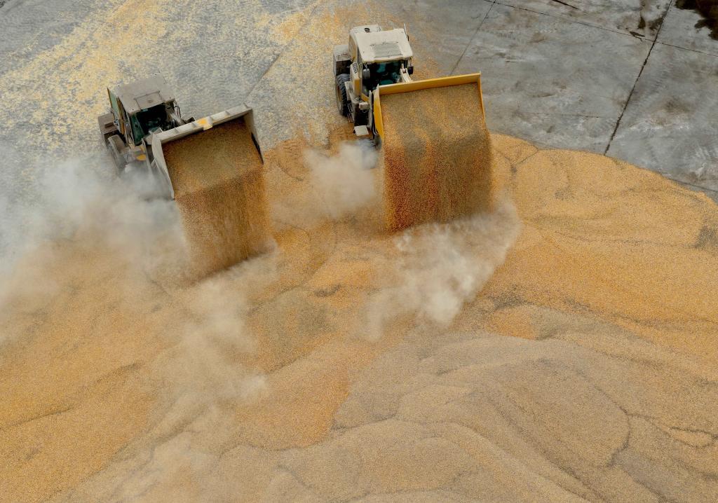 努力减轻农民因灾损失，农业保险再加力