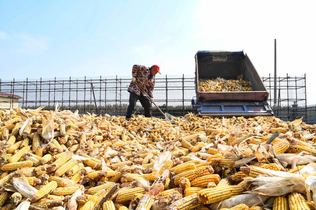 努力减轻农民因灾损失，农业保险再加力