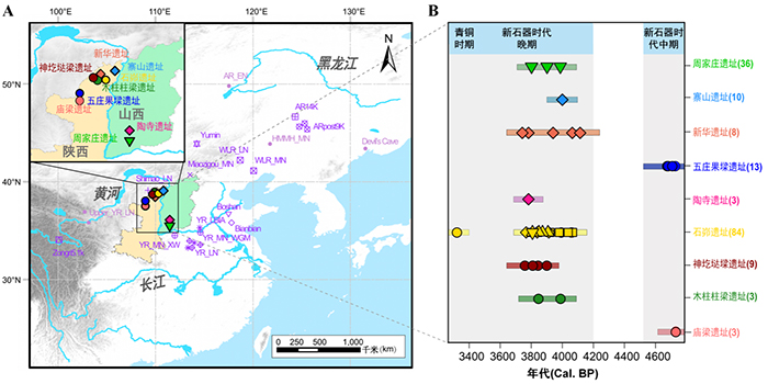 石峁古城人群从哪来?殉葬制度有何玄机?最新古DNA研究给出答案 石峁古城人群从哪来?殉葬制度有何玄机?最新古DNA研究给出答案
