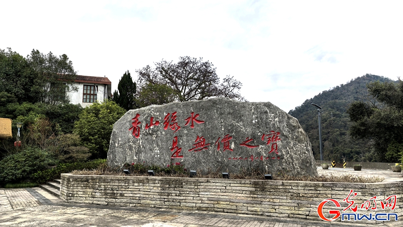新春走基层|三明有片“医疗碳汇林” 新春走基层|三明有片“医疗碳汇林”