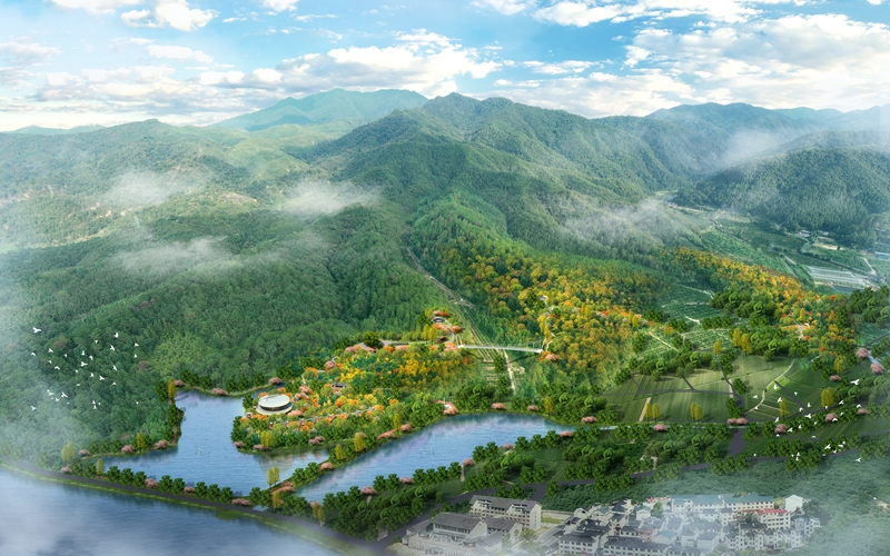 新春走基层|三明有片“医疗碳汇林” 新春走基层|三明有片“医疗碳汇林”