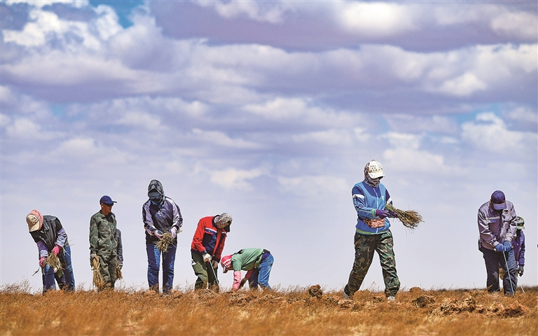 【美丽中国行】科技,让绿色屏障巍然屹立