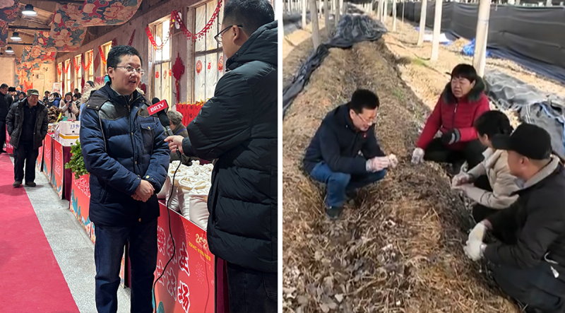 【思政开放麦·时事热点微评】驻村第一书记的强农报国新春“答卷” 【思政开放麦·时事热点微评】驻村第一书记的强农报国新春“答卷”