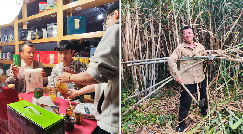 【思政开放麦·时事热点微评】驻村第一书记的强农报国新春“答卷” 【思政开放麦·时事热点微评】驻村第一书记的强农报国新春“答卷”