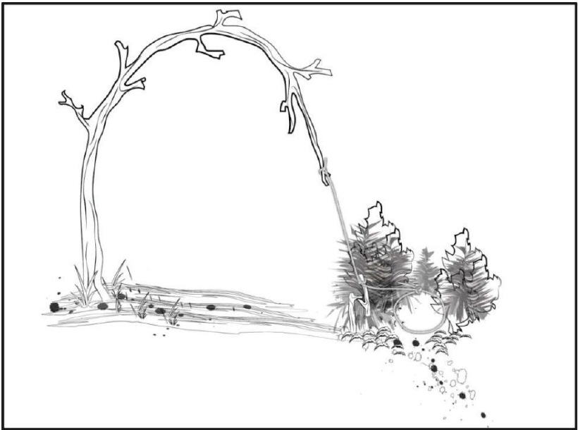 野外生存训练如何设置捕猎陷阱？