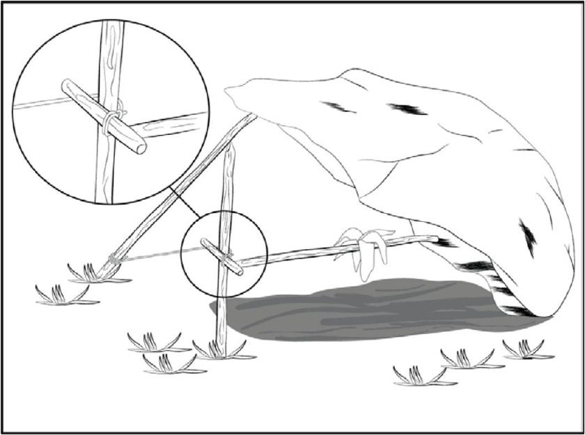 野外生存训练如何设置捕猎陷阱？