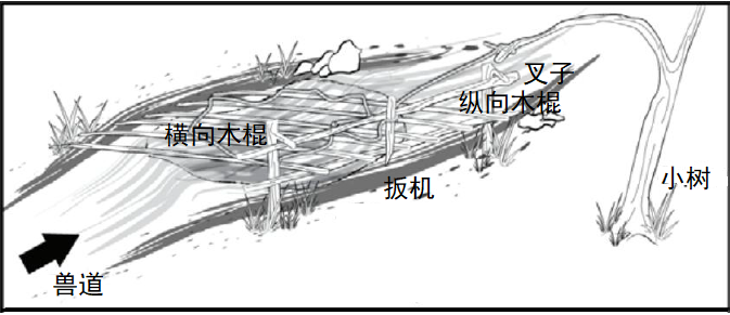 野外生存训练如何设置捕猎陷阱？
