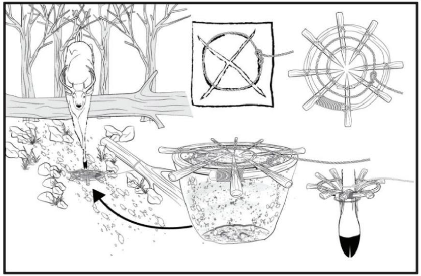 野外生存训练如何设置捕猎陷阱？