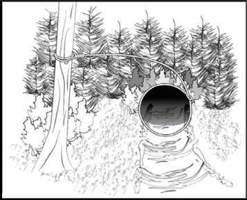 野外生存训练如何设置捕猎陷阱？