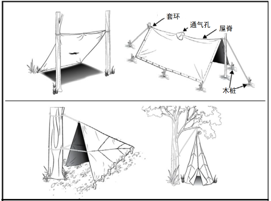 野外生存训练如何搭建庇护所？