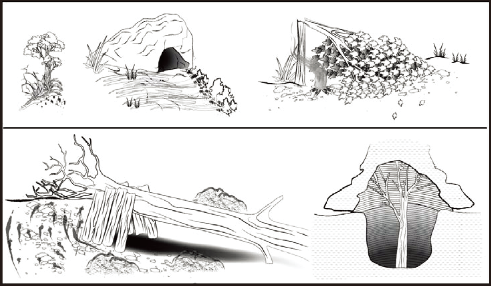野外生存训练如何搭建庇护所？