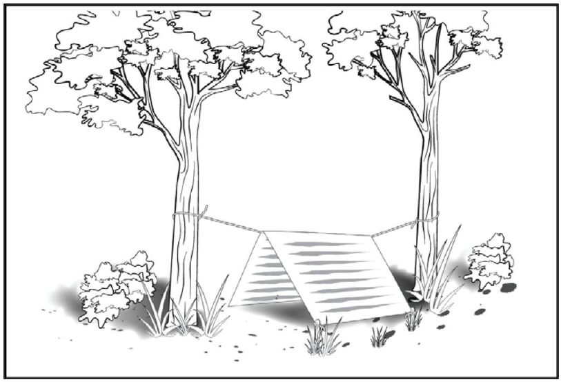 野外生存训练如何搭建庇护所？