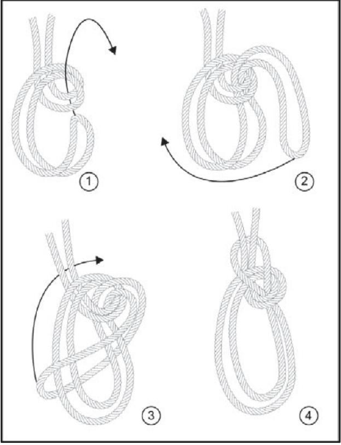 野外生存训练—如何打绳结？