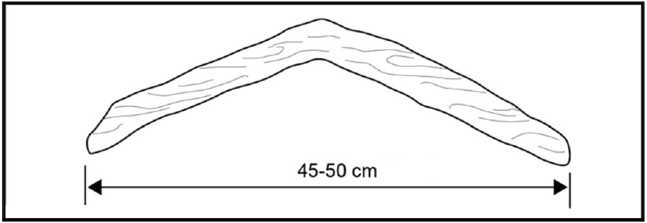 野外生存训练——如何制作应急工具？