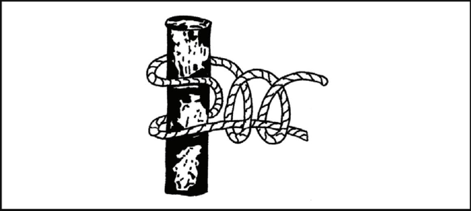 野外生存训练—如何打绳结？