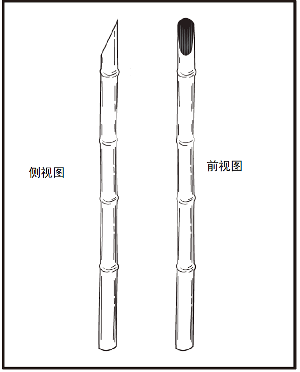 野外生存训练——如何制作应急工具？