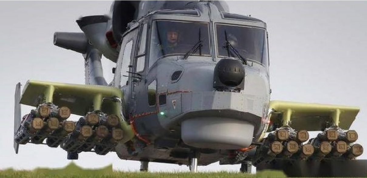 “欧洲燕”是如何做到又小又致命的？