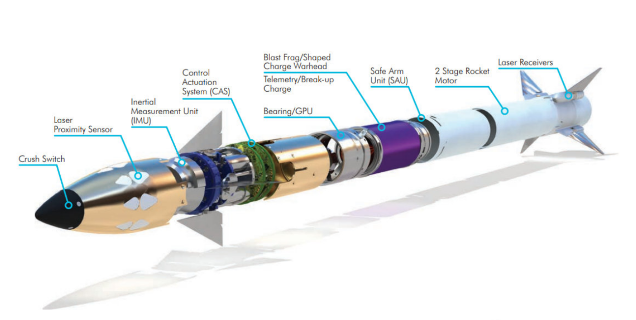 “欧洲燕”是如何做到又小又致命的？